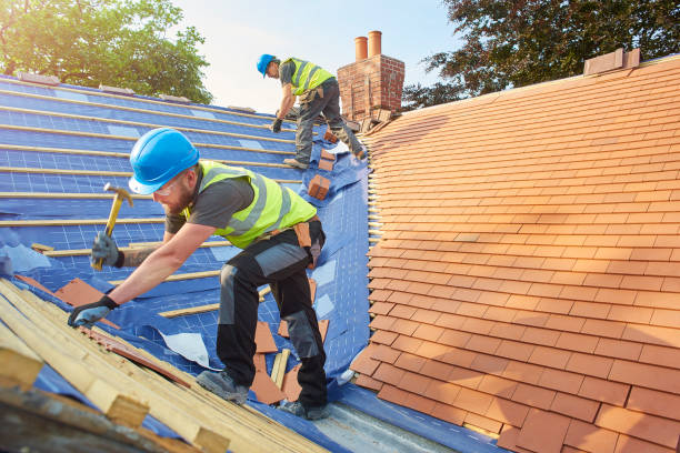 Professional Roofing and repair in Carbon Cliff, IL